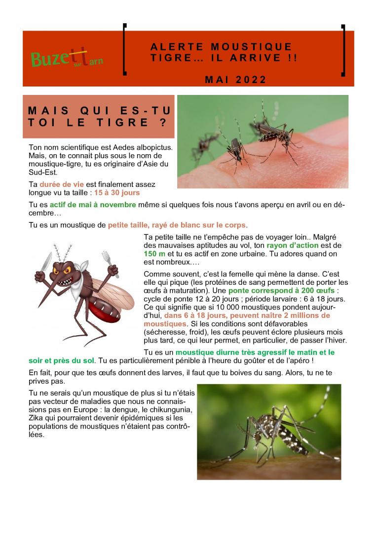 Plaquette Moustiques 1