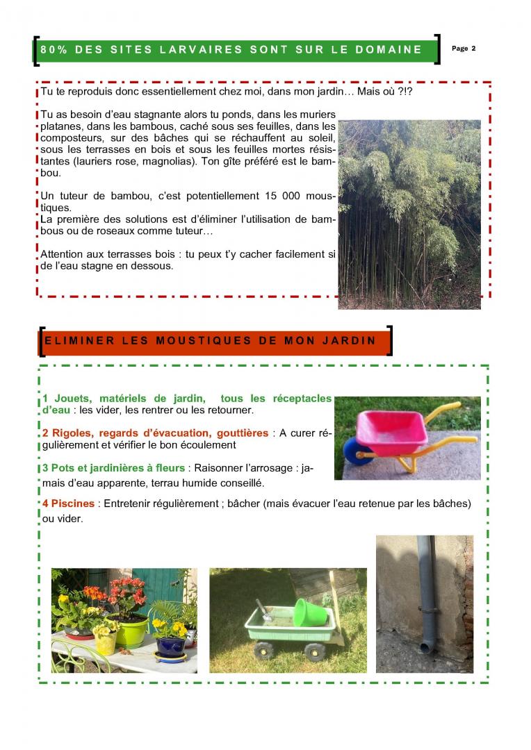 Plaquette Moustiques 2