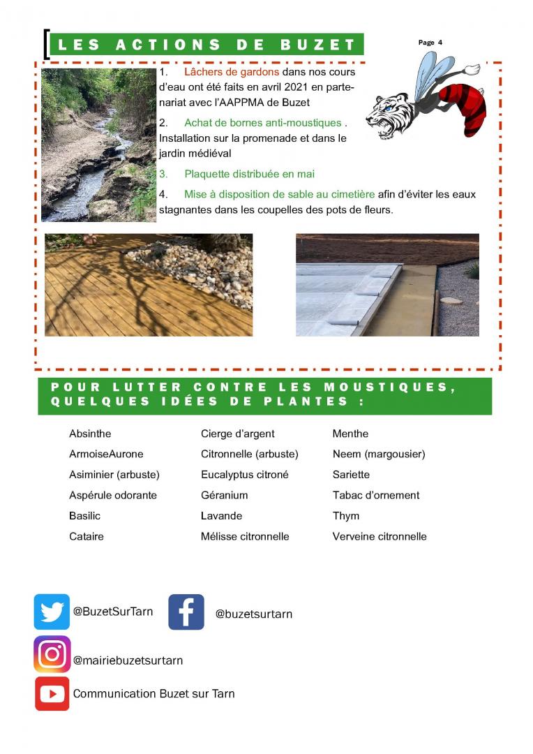 Plaquette Moustiques 4